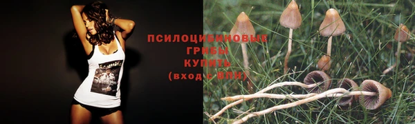 гашиш Костерёво