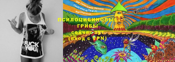 марихуана Коряжма