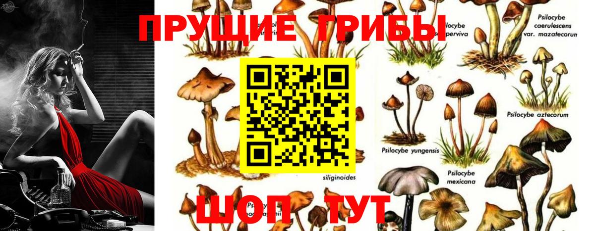 Каменск-Уральский  Галлюциногенные грибы прущие грибы  Вход с VPN 