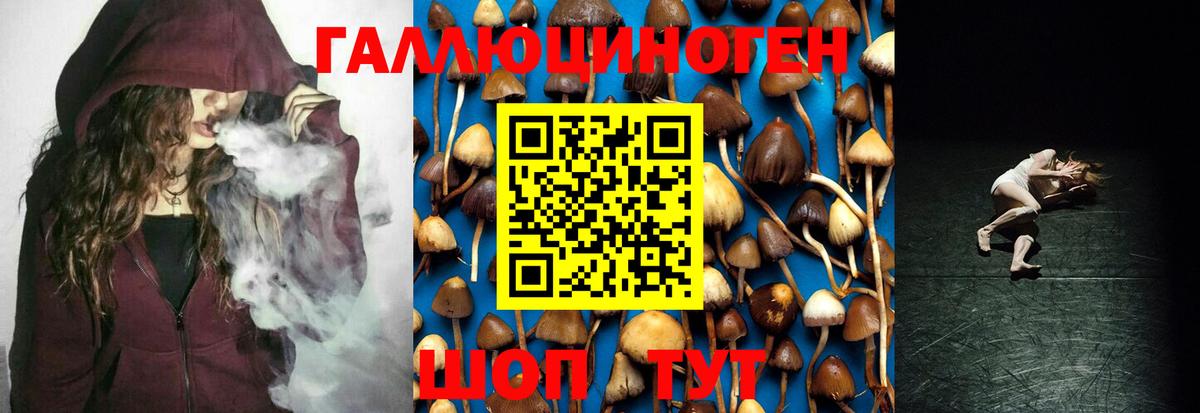 Псилоцибиновые грибы мухоморы Каменск-Уральский